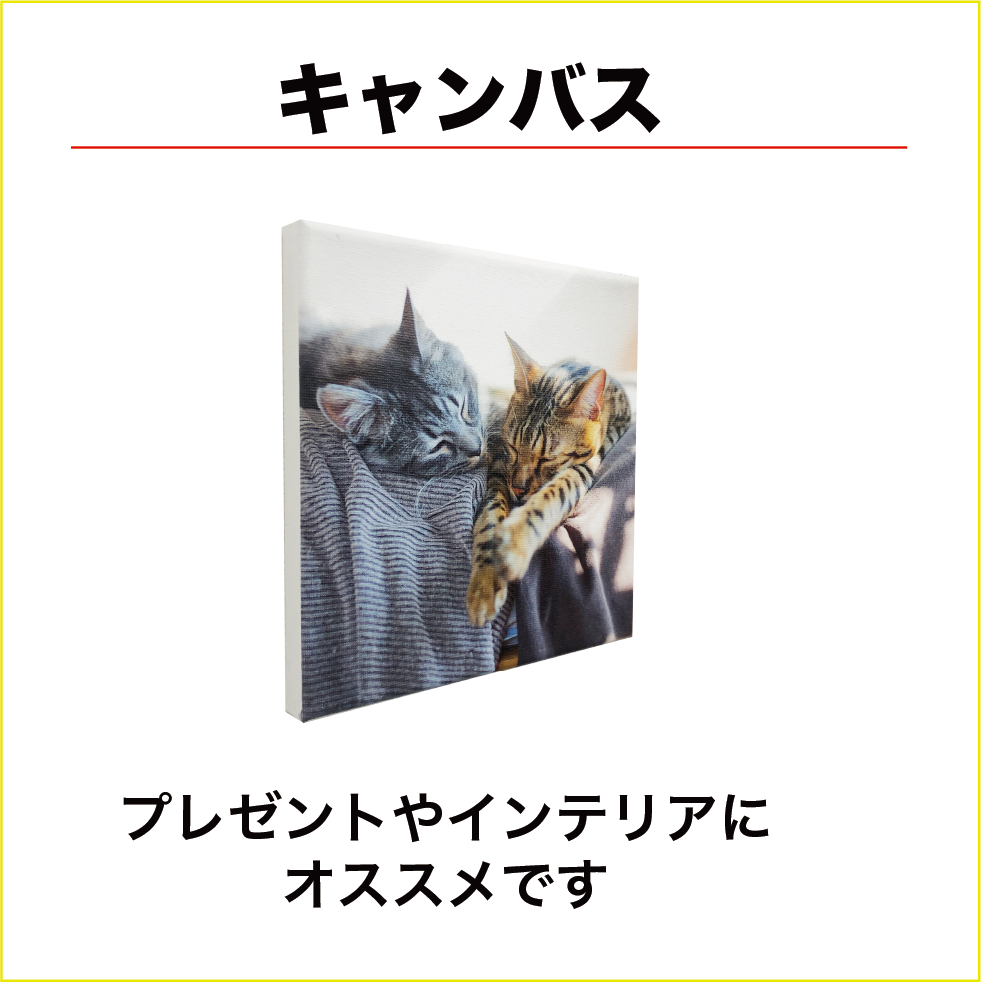 キャンバス