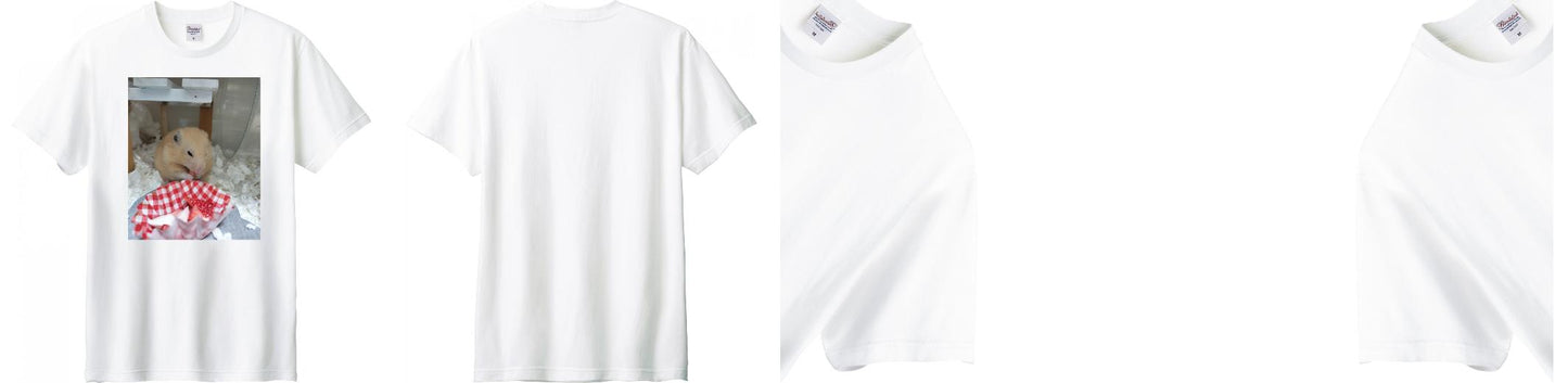 激安印刷Tシャツ (プリント代・送料込み)