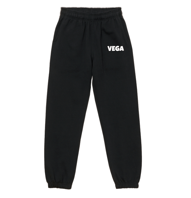 VEGA2024