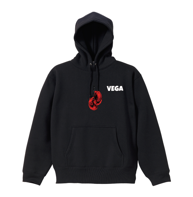 VEGA2024