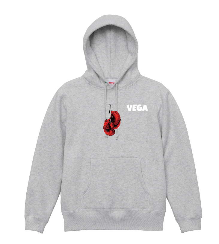VEGA2024