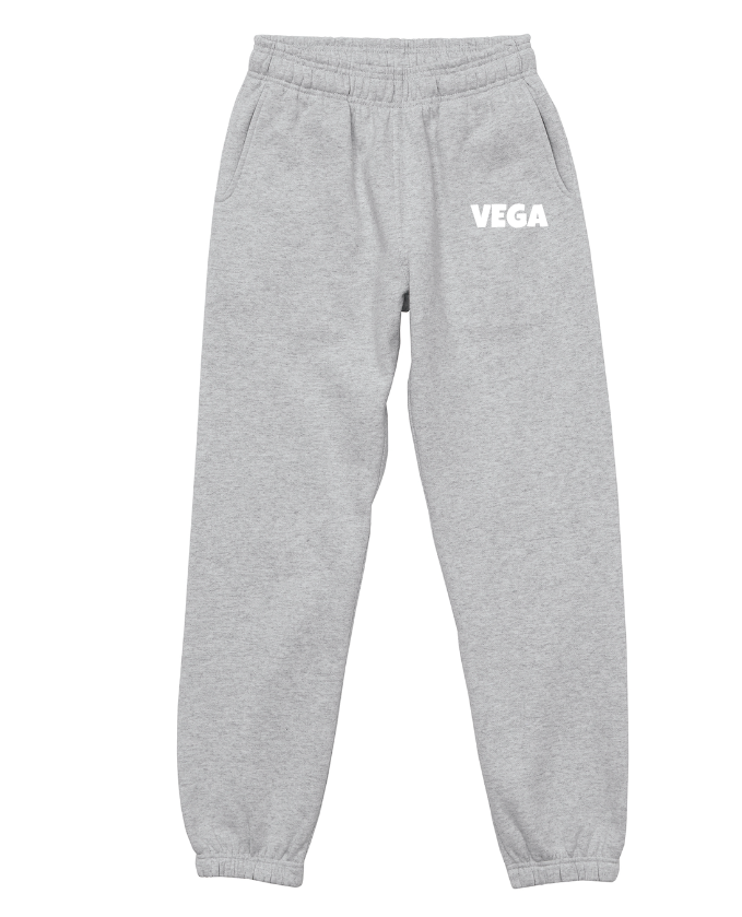 VEGA2024