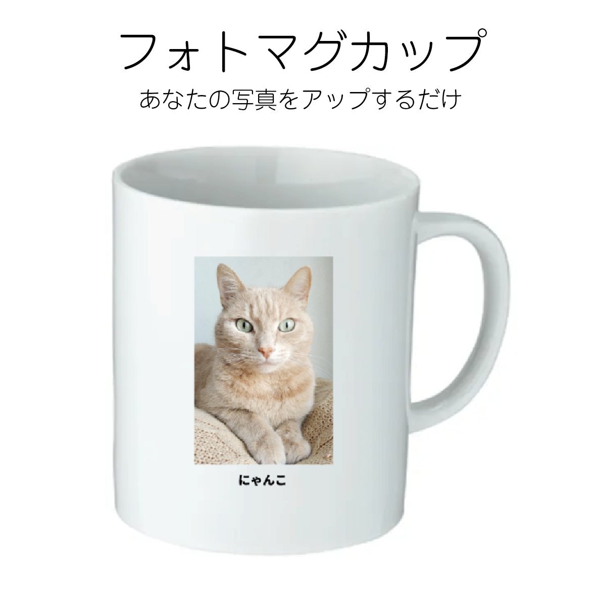 フォト マグカップ
