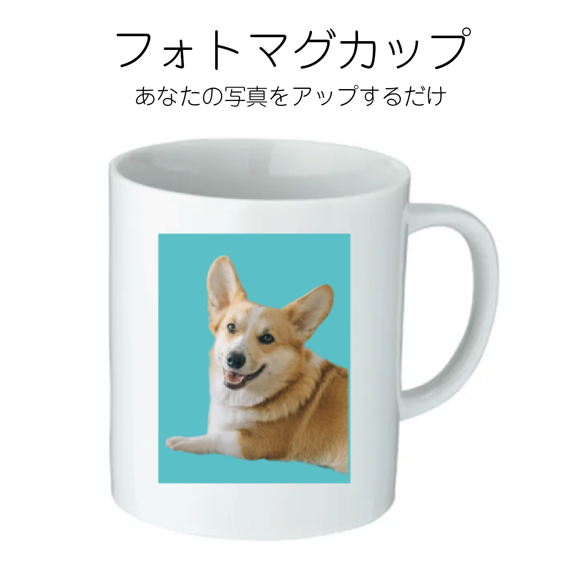 フォト マグカップ
