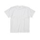 6.6オンス プレミアムガーメントダイTシャツ（DF1101D）